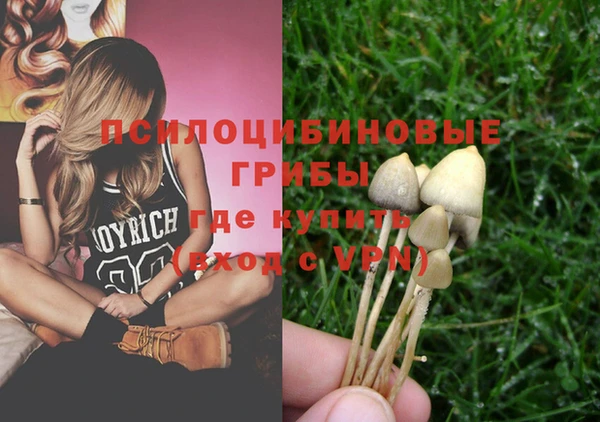ГАЛЛЮЦИНОГЕННЫЕ ГРИБЫ Армянск