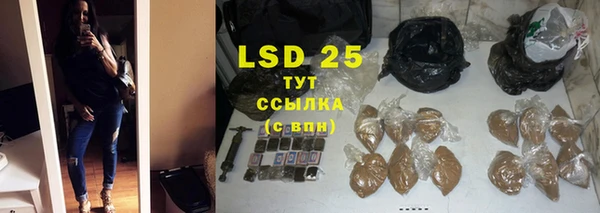 spice Аркадак