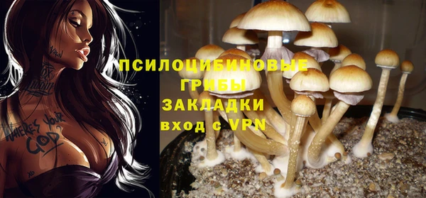spice Аркадак