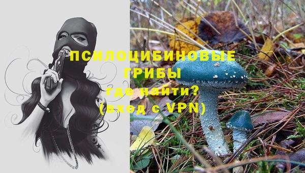 spice Аркадак