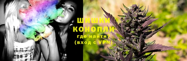 тгк Новозыбков
