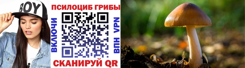 Галлюциногенные грибы ЛСД  blacksprut зеркало  Мегион 